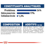 Royal Canin Maxi Adult  - Dry food for large dogs from 26 to 44 KG. From 15 months to 5 years old