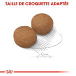 Royal Canin Maxi Adult  - Dry food for large dogs from 26 to 44 KG. From 15 months to 5 years old