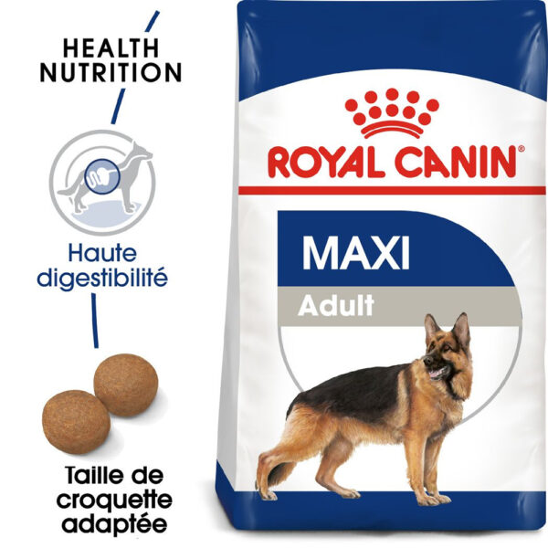 Royal Canin Maxi Adult  - Dry food for large dogs from 26 to 44 KG. From 15 months to 5 years old