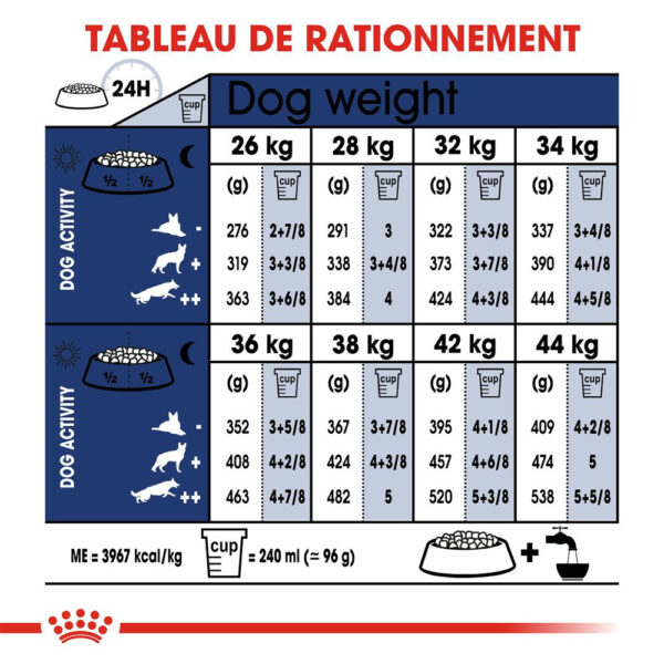 Royal Canin Maxi Adult  - Dry food for large dogs from 26 to 44 KG. From 15 months to 5 years old