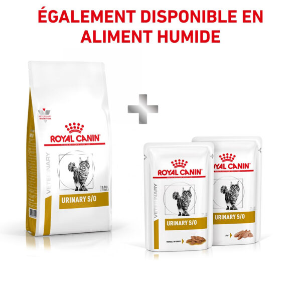 Royal Canin Feline Urinary S/O  - Dry food for Lower Urinary tract disease