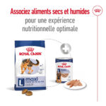 Royal Canin Maxi Adult  - Dry food for large dogs from 26 to 44 KG. From 15 months to 5 years old