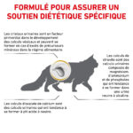 Royal Canin Feline Urinary S/O  - Dry food for Lower Urinary tract disease