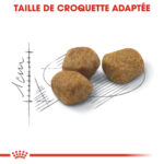 Royal Canin Indoor 7+ (1.5KG) - Dry food for indoor cats over 7 years old