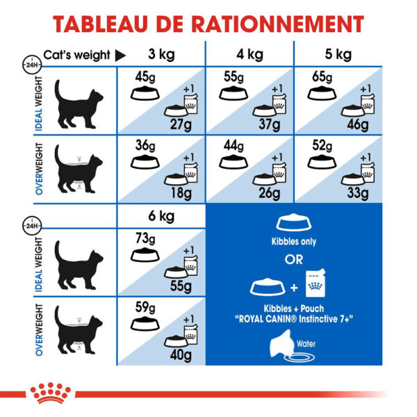 Royal Canin Indoor 7+ (1.5KG) - Dry food for indoor cats over 7 years old