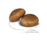 Royal Canin Maxi Adult  - Dry food for large dogs from 26 to 44 KG. From 15 months to 5 years old