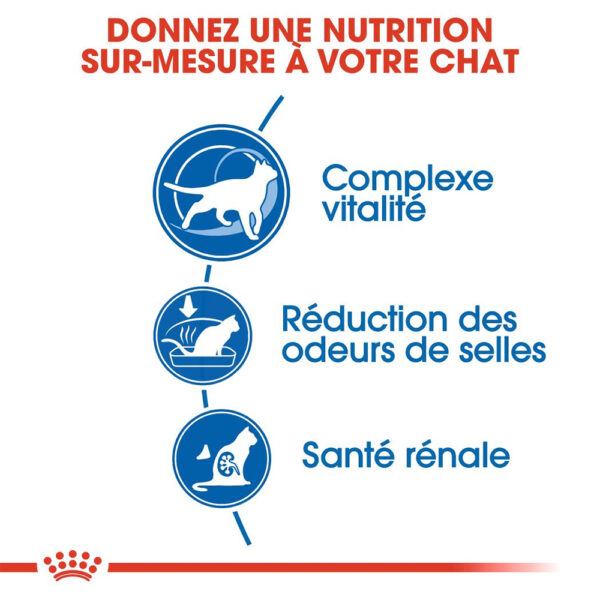 Royal Canin Indoor 7+ (1.5KG) - Dry food for indoor cats over 7 years old
