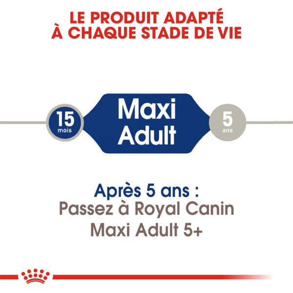 Royal Canin Maxi Adult  - Dry food for large dogs from 26 to 44 KG. From 15 months to 5 years old