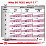 Royal Canin Feline Renal with FISH - Wet food for Renal and chronic kidney diseases – 12 pouches per box price for one pouch