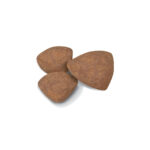 Royal Canin Mini Puppy - Dry food for small dogs - Adult weight up to 10 KG From 2 to 10 months old
