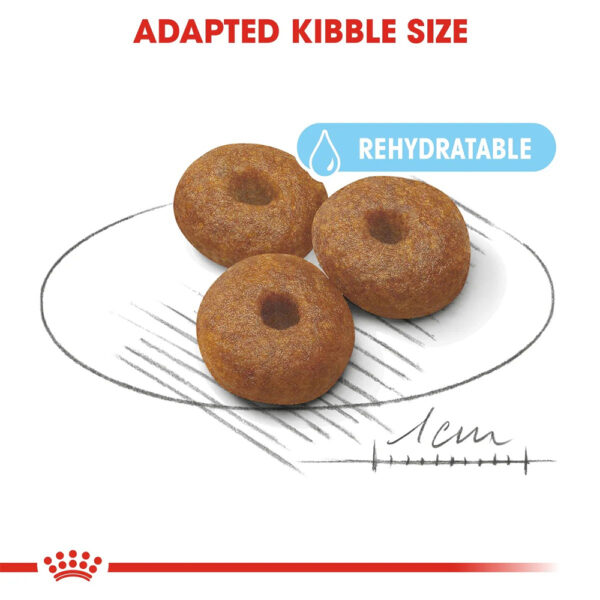 Royal Canin Maxi Starter Mother and Babydog  - Dry food for large puppies - Adult weight between 26 and 44 KG.  Weaning puppies up to 2 months