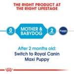 Royal Canin Maxi Starter Mother and Babydog  - Dry food for large puppies - Adult weight between 26 and 44 KG.  Weaning puppies up to 2 months