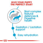 Royal Canin Maxi Starter Mother and Babydog  - Dry food for large puppies - Adult weight between 26 and 44 KG.  Weaning puppies up to 2 months