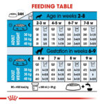 Royal Canin Maxi Starter Mother and Babydog  - Dry food for large puppies - Adult weight between 26 and 44 KG.  Weaning puppies up to 2 months