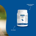 Canhydrox GAG 100 g / 60 tablets