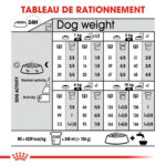 Royal Canin Mini Exigent (3 KG) - Dry food for small dogs up to 10 KG with fussy appetite. Over 10 months