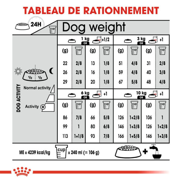 Royal Canin Mini Exigent (3 KG) - Dry food for small dogs up to 10 KG with fussy appetite. Over 10 months