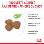 Royal Canin Mini Puppy - Dry food for small dogs - Adult weight up to 10 KG From 2 to 10 months old