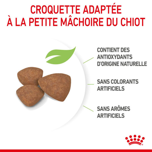 Royal Canin Mini Puppy - Dry food for small dogs - Adult weight up to 10 KG From 2 to 10 months old