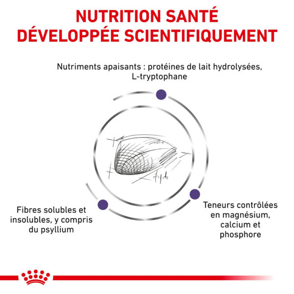 Royal Canin Feline Calm (2 kg) - Dry food for Periods of adaption