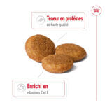 Royal Canin Medium Adult  - Dry food for medium dogs from 11 to 25 KG. From 12 months to 7 years