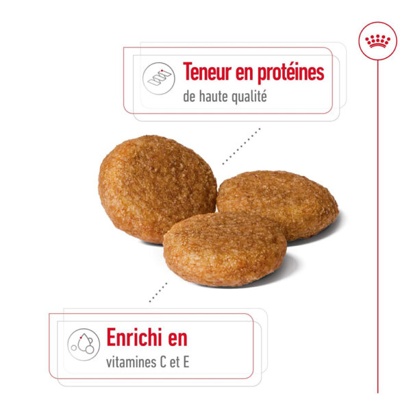 Royal Canin Medium Adult  - Dry food for medium dogs from 11 to 25 KG. From 12 months to 7 years