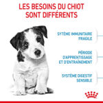 Royal Canin Mini Puppy - Dry food for small dogs - Adult weight up to 10 KG From 2 to 10 months old