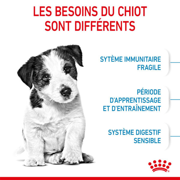 Royal Canin Mini Puppy - Dry food for small dogs - Adult weight up to 10 KG From 2 to 10 months old