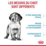 Royal Canin Medium Puppy (15kg) - for medium dogs