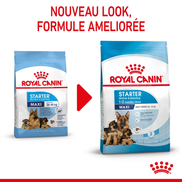 Royal Canin Maxi Starter Mother and Babydog  - Dry food for large puppies - Adult weight between 26 and 44 KG.  Weaning puppies up to 2 months