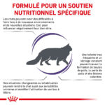 Royal Canin Feline Calm (2 kg) - Dry food for Periods of adaption
