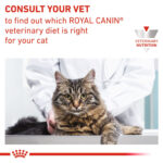 Royal Canin Feline Renal with FISH - Wet food for Renal and chronic kidney diseases – 12 pouches per box price for one pouch