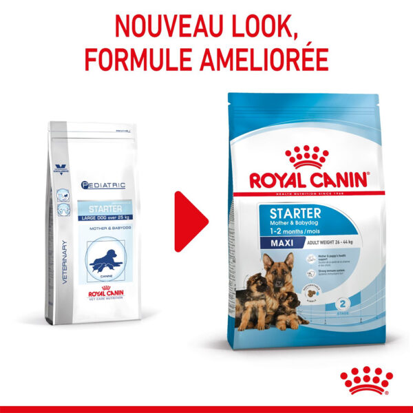 Royal Canin Maxi Starter Mother and Babydog  - Dry food for large puppies - Adult weight between 26 and 44 KG.  Weaning puppies up to 2 months