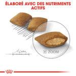Royal Canin Mini Exigent (3 KG) - Dry food for small dogs up to 10 KG with fussy appetite. Over 10 months