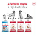 Royal Canin Medium Adult  - Dry food for medium dogs from 11 to 25 KG. From 12 months to 7 years