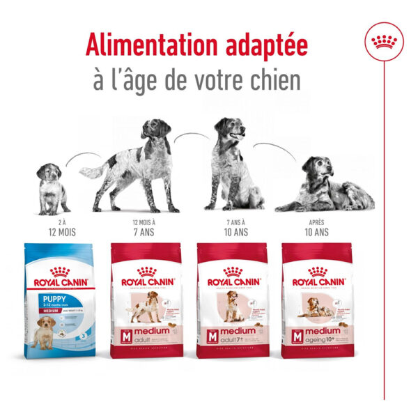 Royal Canin Medium Adult  - Dry food for medium dogs from 11 to 25 KG. From 12 months to 7 years