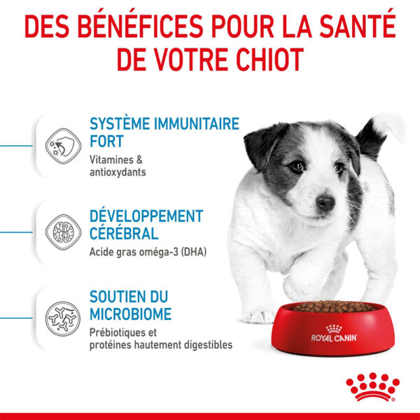 Royal Canin Mini Puppy - Dry food for small dogs - Adult weight up to 10 KG From 2 to 10 months old