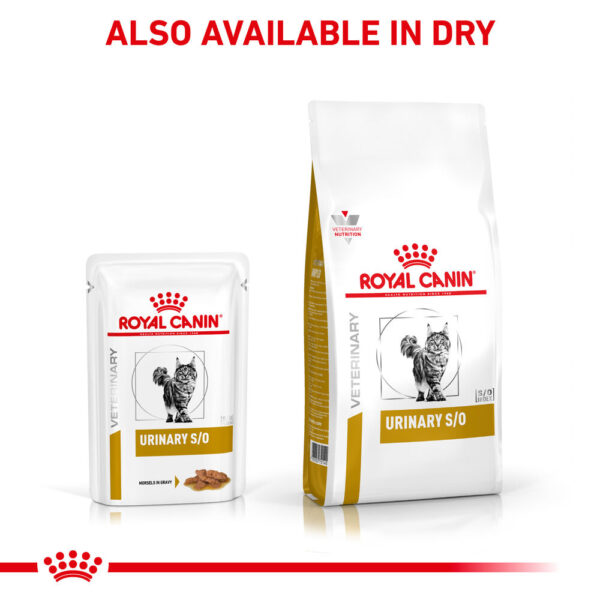 Royal Canin Feline Urinary S/O in Gravy (85 gm\Pouch) - Wet food for Lower Urinary tract disease – 12 pouches per box