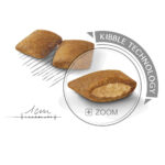 Royal Canin Mini Exigent (3 KG) - Dry food for small dogs up to 10 KG with fussy appetite. Over 10 months