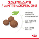 Royal Canin Medium Puppy (15kg) - for medium dogs