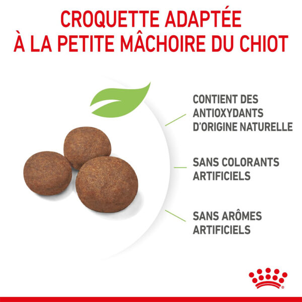 Royal Canin Medium Puppy (15kg) - for medium dogs
