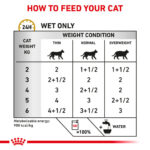 Royal Canin Feline Urinary S/O in Gravy (85 gm\Pouch) - Wet food for Lower Urinary tract disease – 12 pouches per box