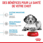 Royal Canin Medium Puppy (15kg) - for medium dogs