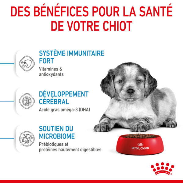 Royal Canin Medium Puppy (15kg) - for medium dogs