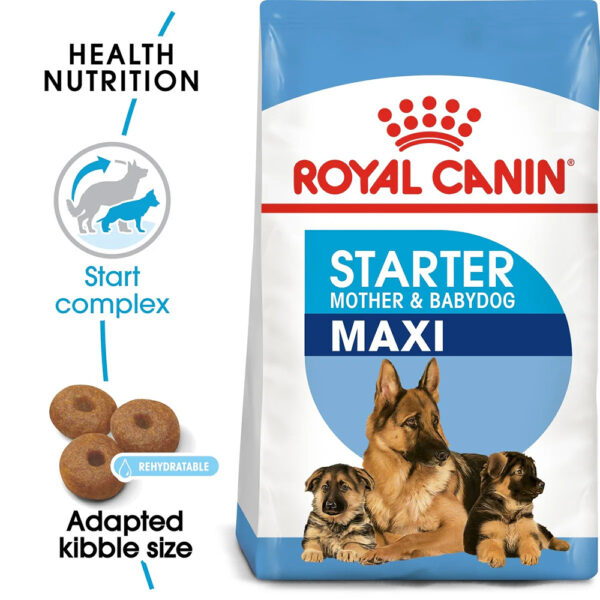 Royal Canin Maxi Starter Mother and Babydog  - Dry food for large puppies - Adult weight between 26 and 44 KG.  Weaning puppies up to 2 months
