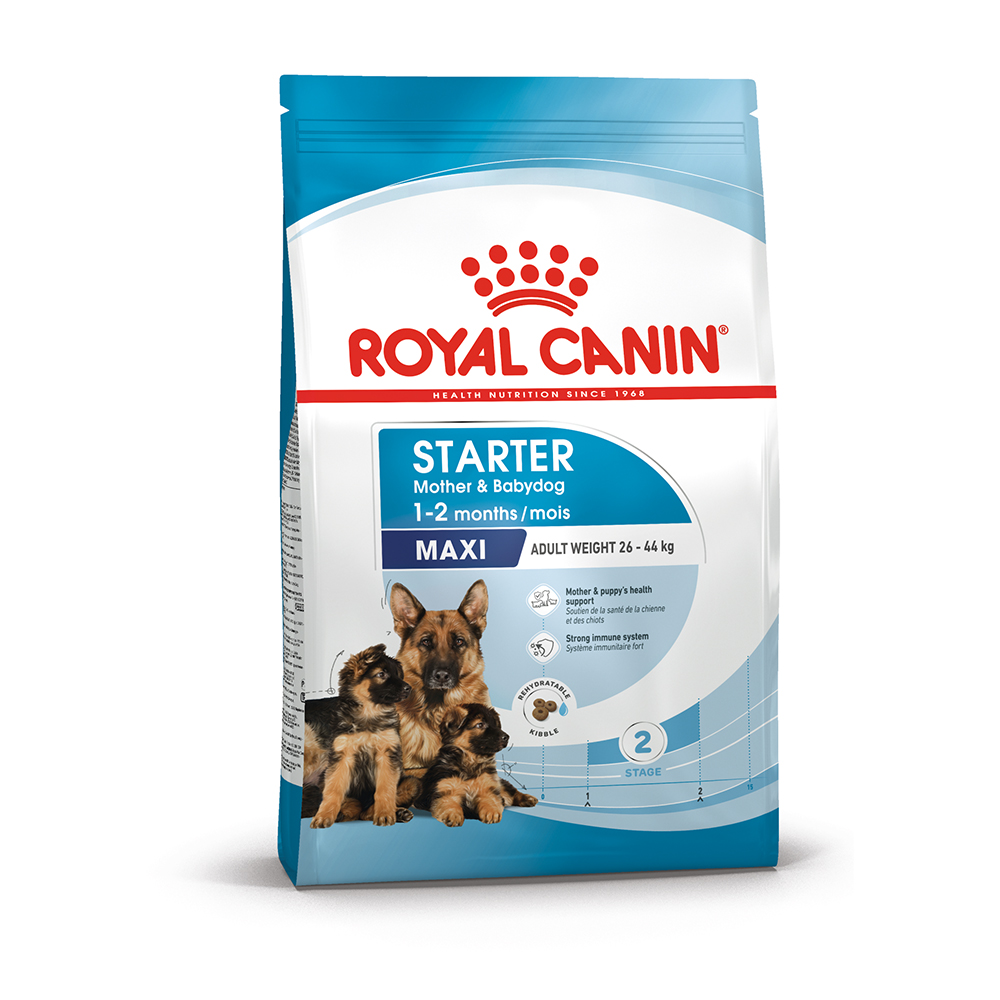 Royal Canin Maxi Starter Mother and Babydog  - Dry food for large puppies - Adult weight between 26 and 44 KG. Mother during gestation and lactation - Weaning puppies up to 2 months