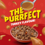 PURINA Friskies ® TURKEY Chunks in Gravy Wet Cat Food Pouch 85 gm