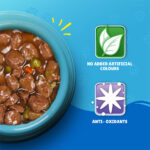 PURINA Friskies ® Salmon Chunks in Gravy Wet Cat Food Pouch 85 gm