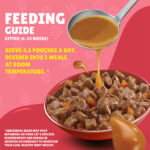 PURINA Friskies ® Junior Chicken in Gravy Wet Cat Food Pouch 85 gm