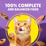 PURINA Friskies ® Beef Chunks in Gravy Wet Cat Food Pouch 85 gm